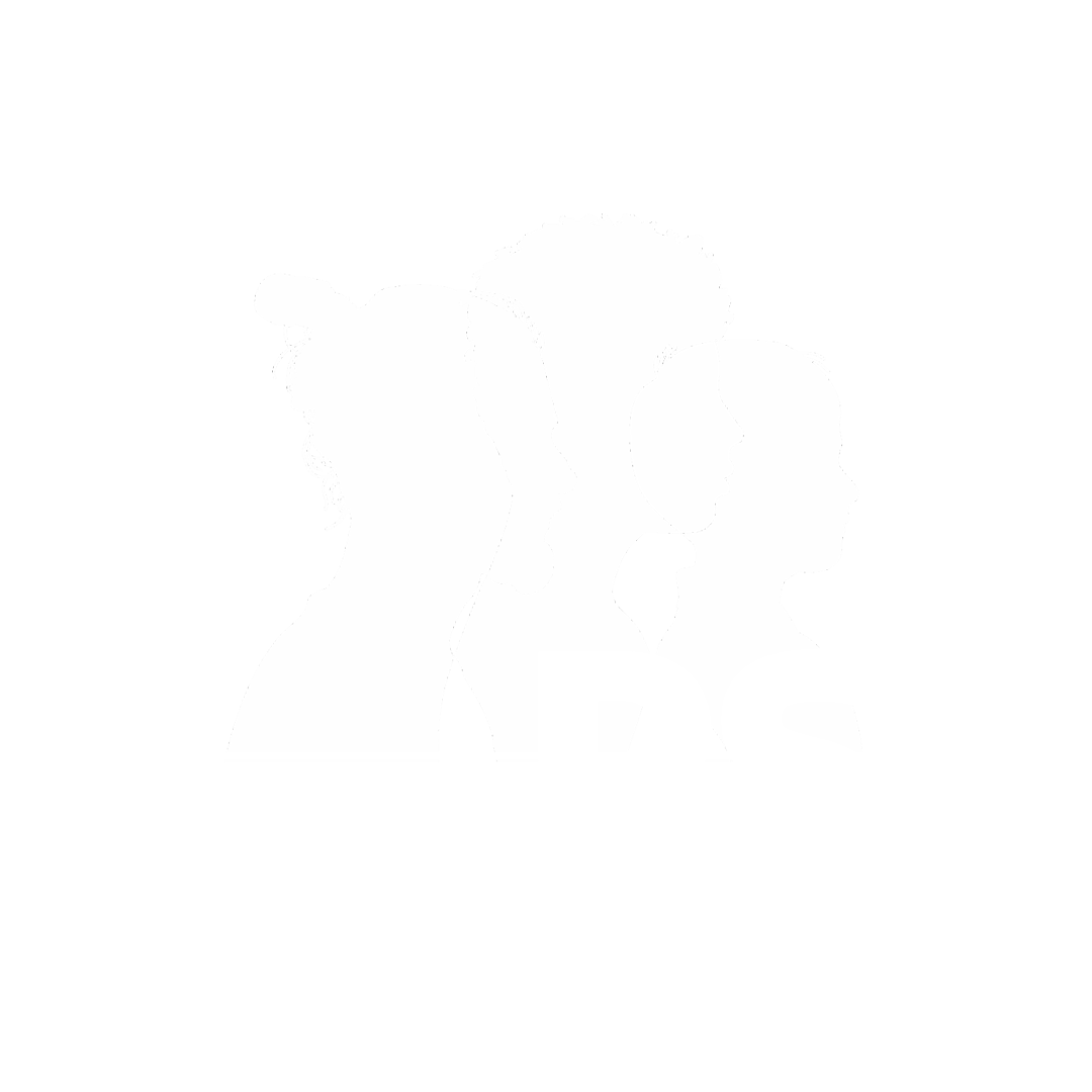 sponsors-logo